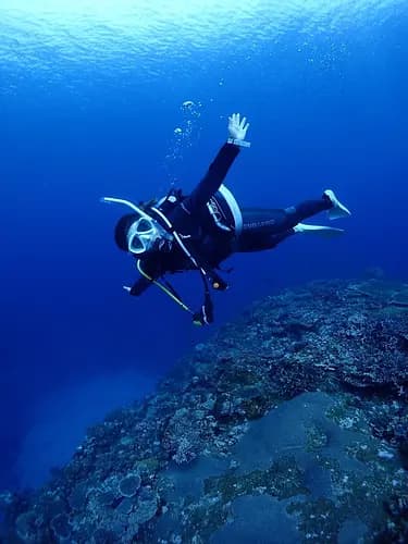  Scuba Dive Through Okinawa’s Coral Reef Paradise