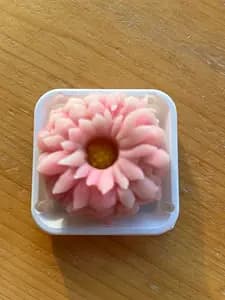 Wagashi Sweet Making Workshop