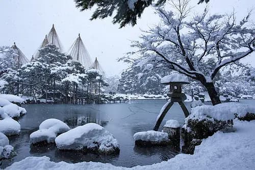 Tea Ceremony in Kenrokuen: Sit With a Master Who Has Been Doing This for Decades