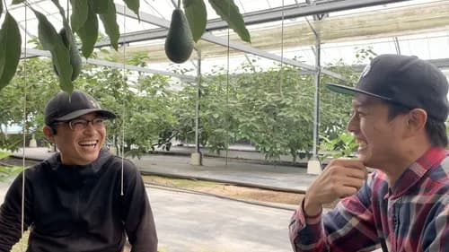 Miyazaki Has More Than Just Mangoes! Rare and Fascinating Domestic Avocados