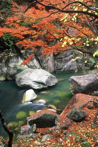 Shosenkyo Gorge, a Scenic Japan Hike in Yamanashi