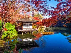 Wakayama Castle — Where Edo's Shogun Was Made