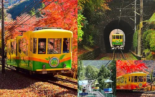 Nature Escape: Mt. Takao Hike & Natural Hot Spring