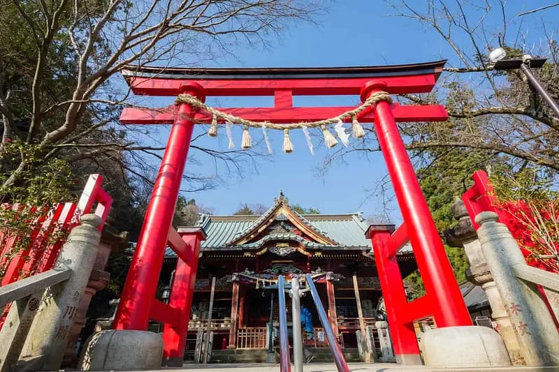 Nature Escape: Mt. Takao Hike & Natural Hot Spring