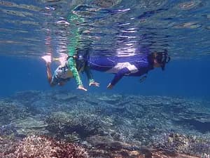 Okinawa Blue Paradise Snorkeling Adventure