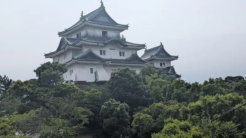 Hidden Gem: Wakayama Castle Tour 