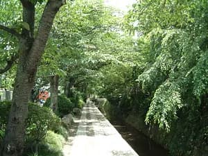 Half-day Kyoto Northern Higashiyama tour