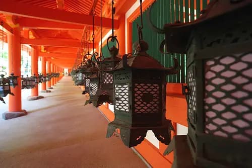 Half-day highlights tour of Nara 