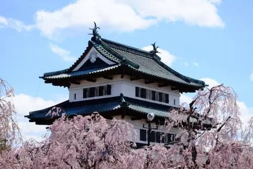 Big Hugs from Cherry Blossoms in Hirosaki, Aomori