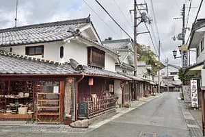 Journey to Satoyama woodland in Sasayama