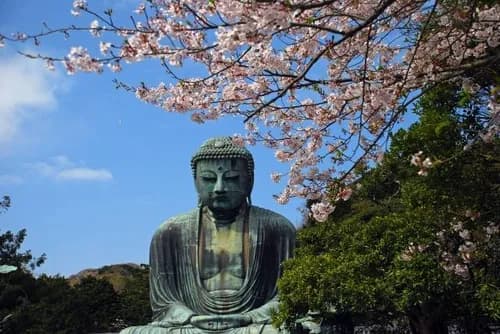 Top Three Must-Visit Shrines In Historical Kamakura, A Birthplace Of Samurai
