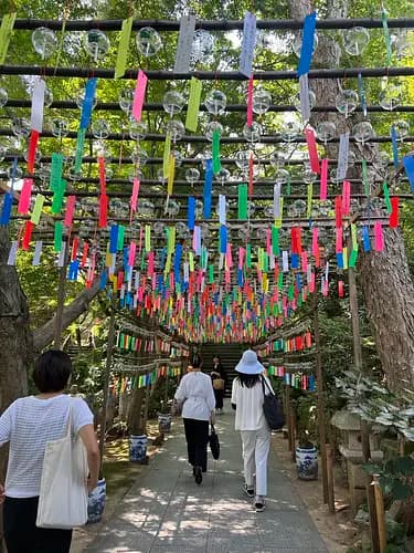 A Tour to Experience the Traditions and Culinary Delights of Ogori, the Town of Ducks"【Fukuoka, Ogori】