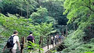 Nature Escape: Mt. Takao Hike & Natural Hot Spring