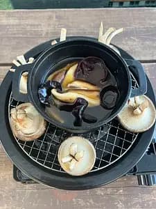 Because we are farmers! Shiitake mushroom harvesting experience and excellent shiitake mushroom dishes BBQ style!