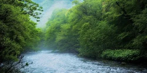 An Exquisite Experience Along the Oirase Gorge; Mountain Torrent in Aomori Prefecture