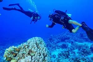 Tokyo Area NAUI Beginner Passport Diver Tour