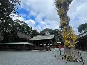 The Sacred Island in Munakata and Those Who Safeguard the Related Sites【Fukuoka】