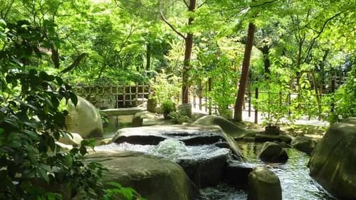 【縮景園】広島の歴史公園100選で季節の花に癒されよう
