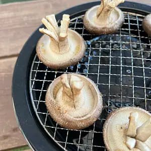Because we are farmers! Shiitake mushroom harvesting experience and excellent shiitake mushroom dishes BBQ style!