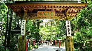 Nature Escape: Mt. Takao Hike & Natural Hot Spring