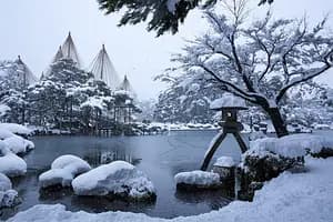 Tea Ceremony in Kenrokuen: Sit With a Master Who Has Been Doing This for Decades