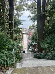 The Sacred Island in Munakata and Those Who Safeguard the Related Sites【Fukuoka】