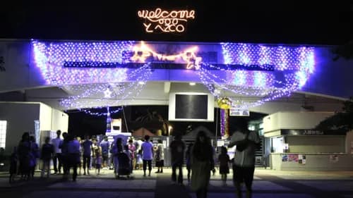 Various Attractions Through Ehime Prefecture and Its Famous Zoo