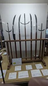 Hidden Gem: Wakayama Castle Tour 