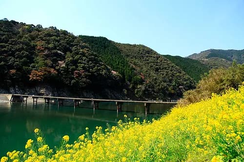 Shimantogawa River