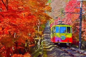 Nature Escape: Mt. Takao Hike & Natural Hot Spring