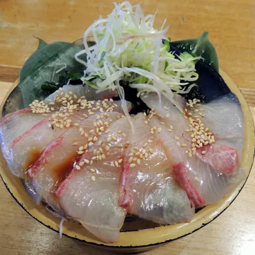 Japan's Kanpachi aka Greater Amberjack fish, Big Game In Little Kagoshima!