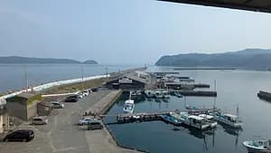 Kada Wakayama Fishing Experience