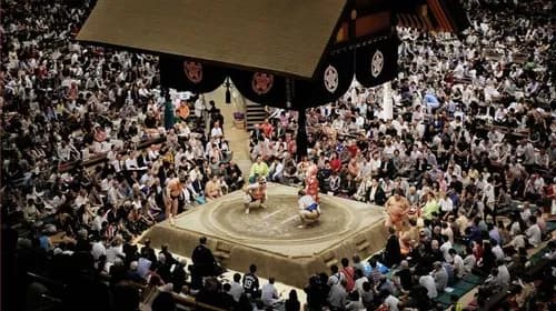 Vibrant And Fascinating Sumo Training Tour In Tokyo