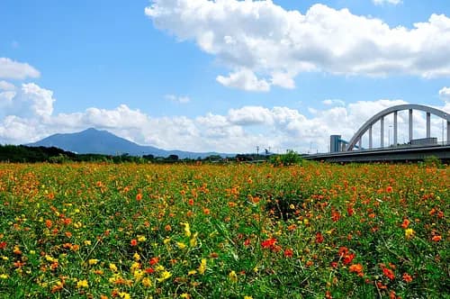 Kokaigawa Fureai Koen Park