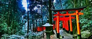 From the Kyoto's most mystic Shrine, Oiwa Jinjya to Fushimi Inari Taisya