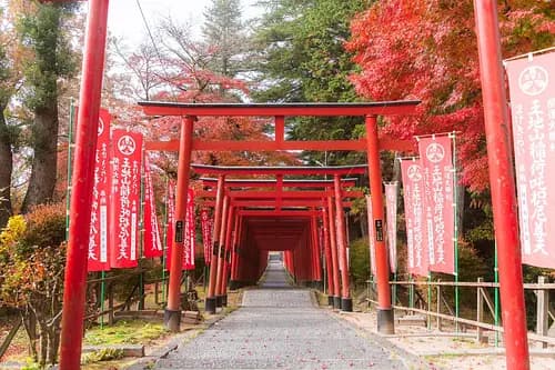 【Registration is currently closed】　Tamba-Sasayama Adventure: Explore History, Nature, and Create Your Own Fragrant Sachet