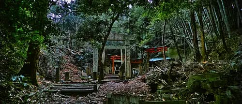 From the Kyoto's most mystic Shrine, Oiwa Jinjya to Fushimi Inari Taisya