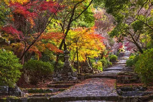 Tour to Mt. Hiko, One of Japan’s Three Great Shugendo Sites, a Sacred Mountain of Faith.