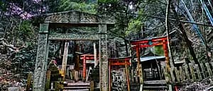 From the Kyoto's most mystic Shrine, Oiwa Jinjya to Fushimi Inari Taisya