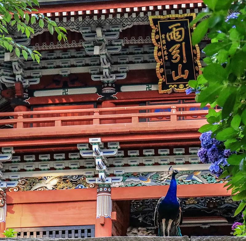 Amabikisan Rakuhoji Temple