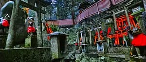 From the Kyoto's most mystic Shrine, Oiwa Jinjya to Fushimi Inari Taisya