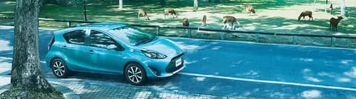 Rent A Car: Explore Some Of Japan’s Untapped Destinations. There Are Some Places You Can Only Go With A Car.
