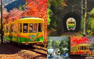 Nature Escape: Mt. Takao Hike & Natural Hot Spring