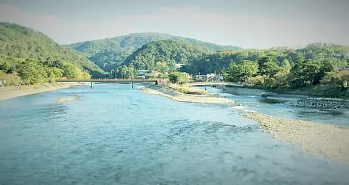 Kyoto Uji half day tour ~World Heritage along Uji River~
