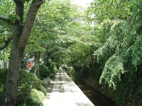 Half-day Kyoto Northern Higashiyama tour