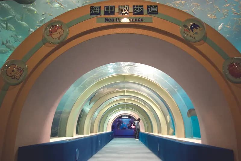 Aquarium Asamushi