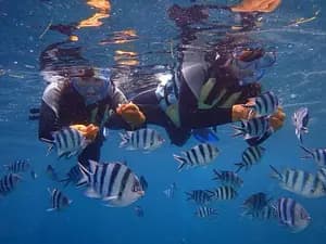 Okinawa Blue Paradise Snorkeling Adventure