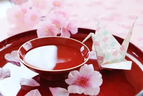 Discover The World Of Sake On The Tokyo Brewery Tour