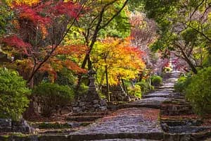 Tour to Mt. Hiko, One of Japan’s Three Great Shugendo Sites, a Sacred Mountain of Faith.