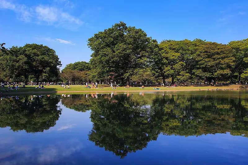 Yoyogi Koen Park